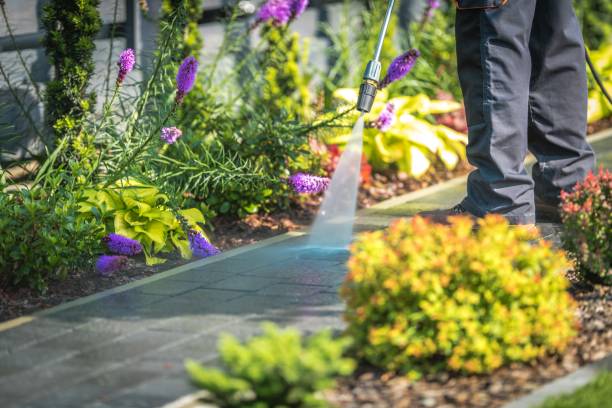 Best Spring Cleaning  in Roselle Park, NJ