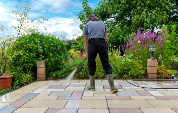 Best Patio and Deck Pressure Washing  in Roselle Park, NJ