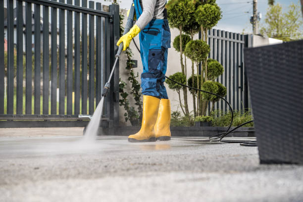 Best Gutter Cleaning  in Roselle Park, NJ